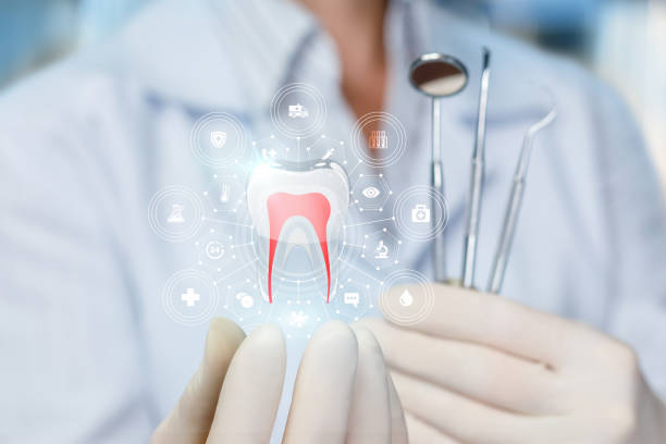 Best Root Canal Treatment  in Gulf Breeze, FL